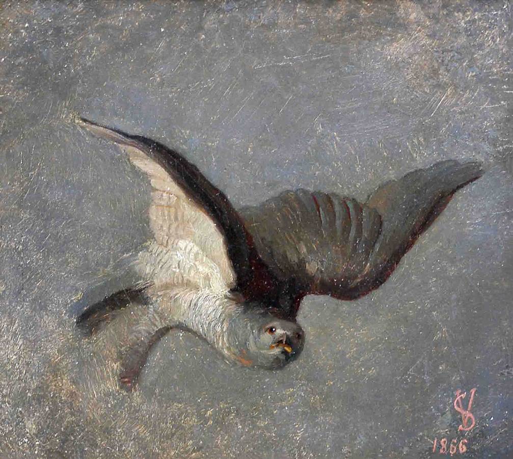 Вячеслав Шварц. Летящий коршун. 1866