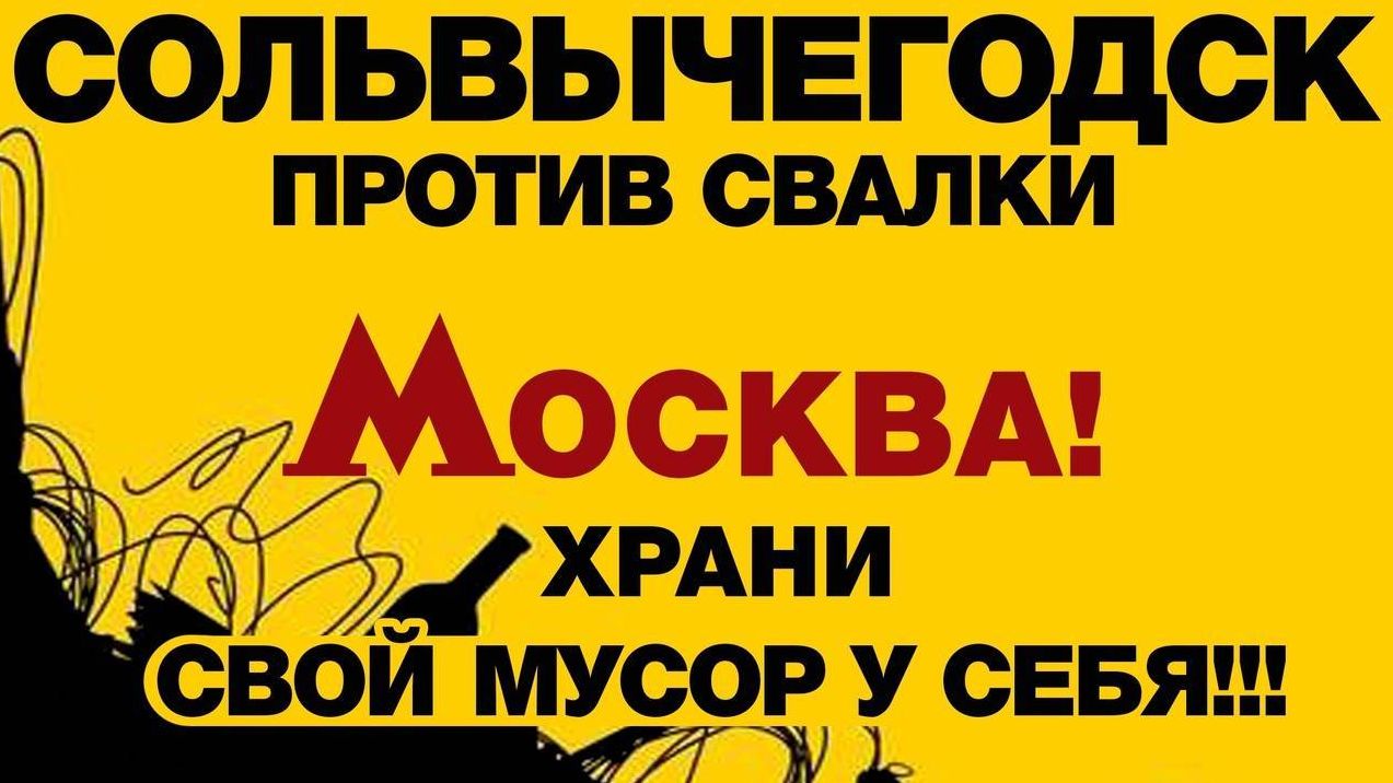 Плакат на митинге 2 декабря 2018 года в Сольвычегодске