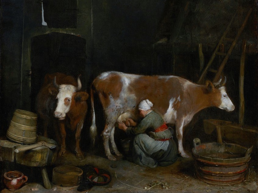 Герард Терборх. Служанка доит корову в хлеву (фрагмент). 1652-1653
