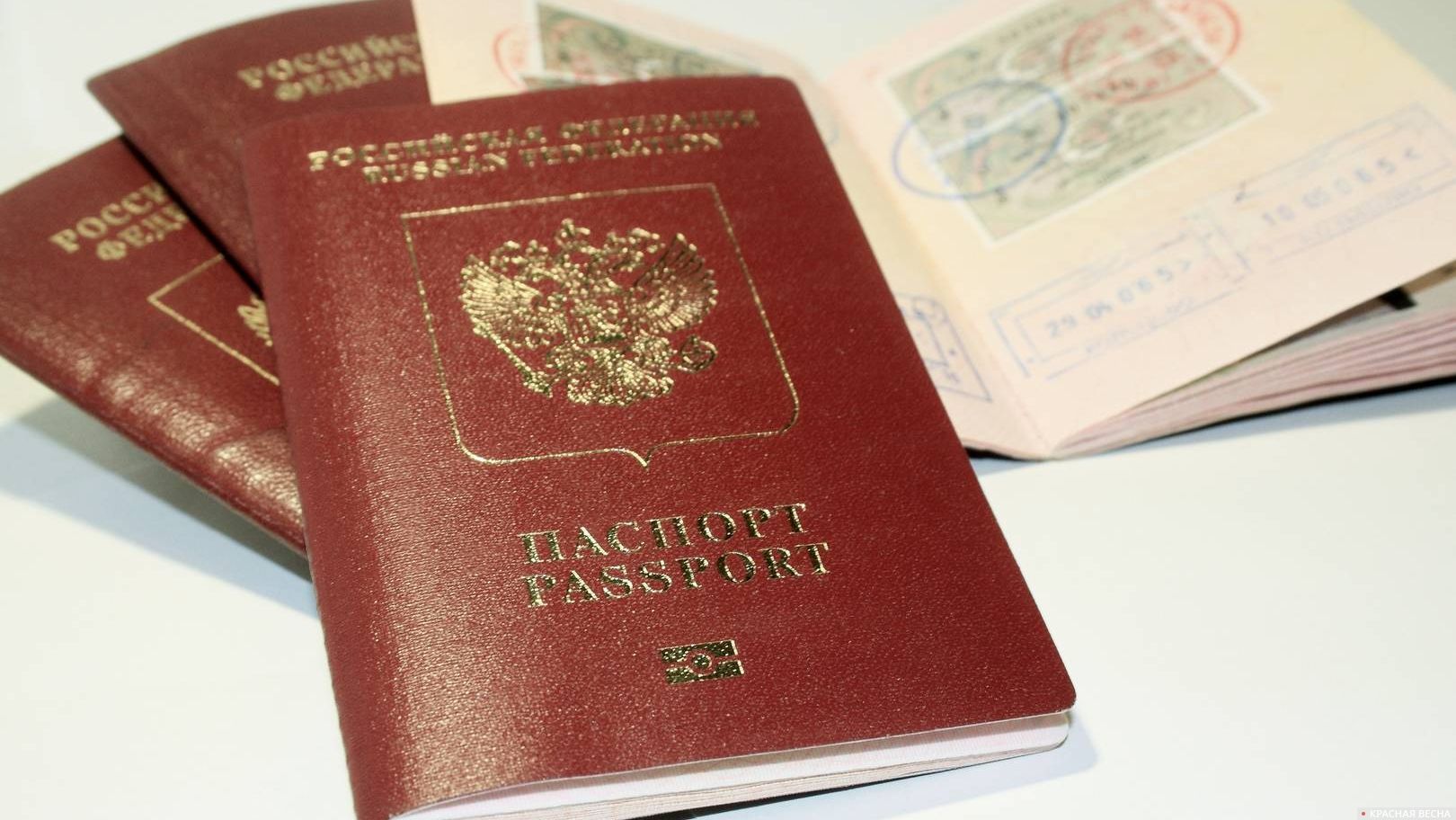Заграничный паспорт