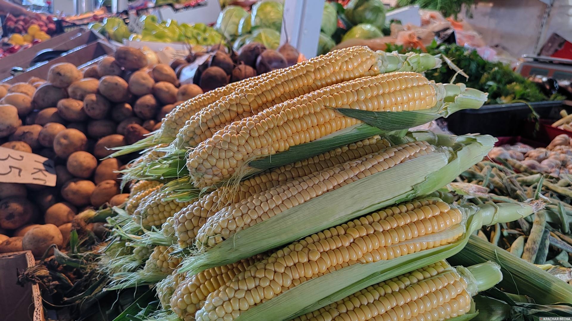 Продуктовый рынок, кукуруза