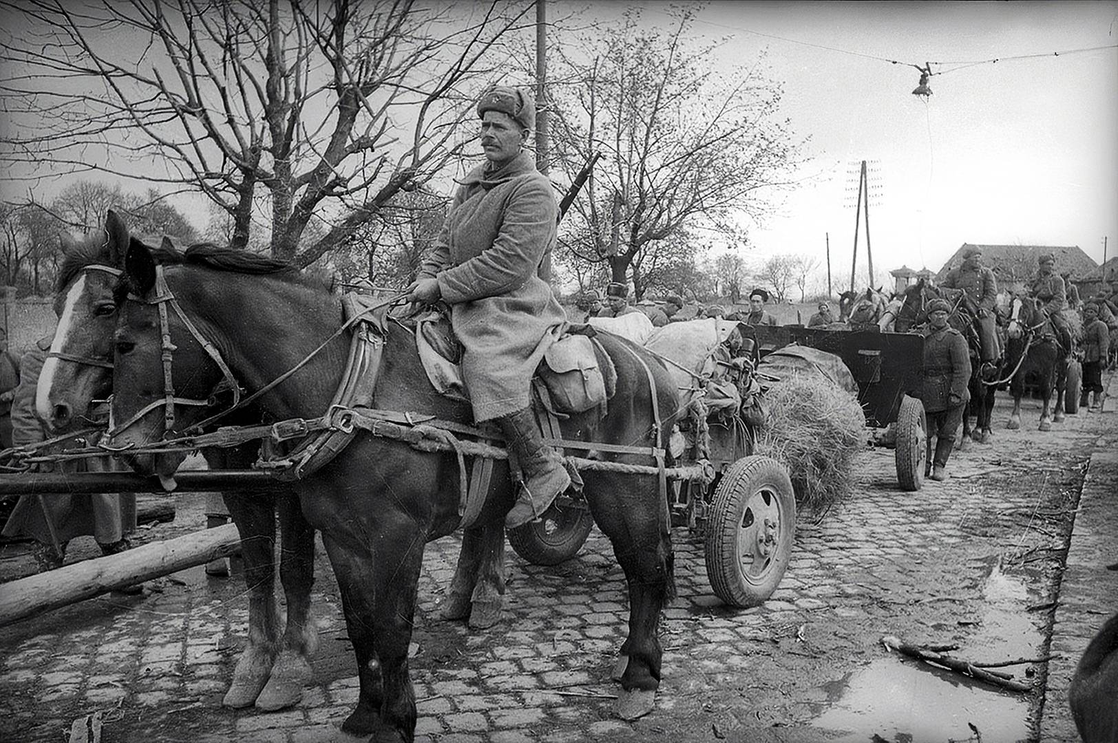Красноармейцы на марше с пушками ЗиС-3 на конной тяге. Март 1945 г.