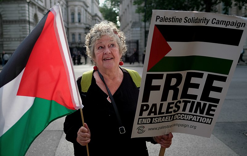 Демонстрант солидарности с Палестиной, Лондон