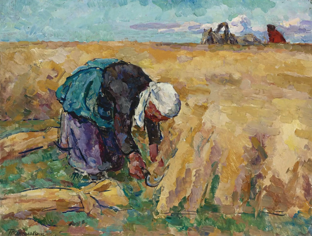 Петр Кончаловский. Жатва пшеницы. 1923