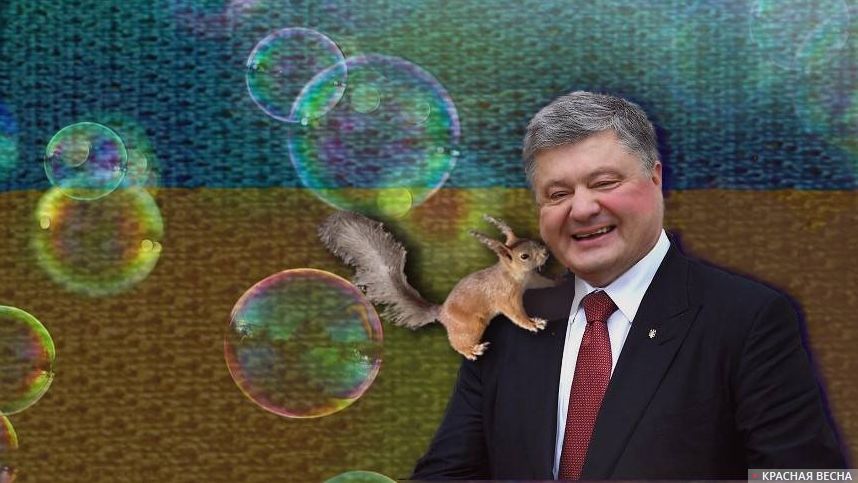 Порошенко и белка