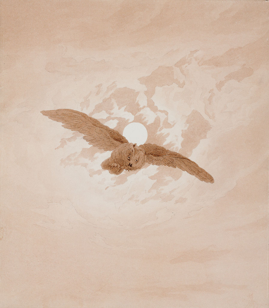 Каспар Давид Фридрих. Летящая сова на фоне лунного неба. 1836