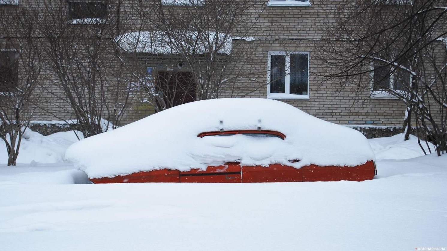Занесенный снегом автомобиль