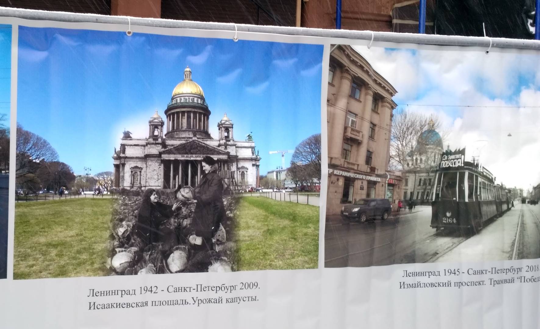 Фотоработы c «Улицы жизни»: сбор урожая капусты на Исаакиевской площади, трамвай «Победа»