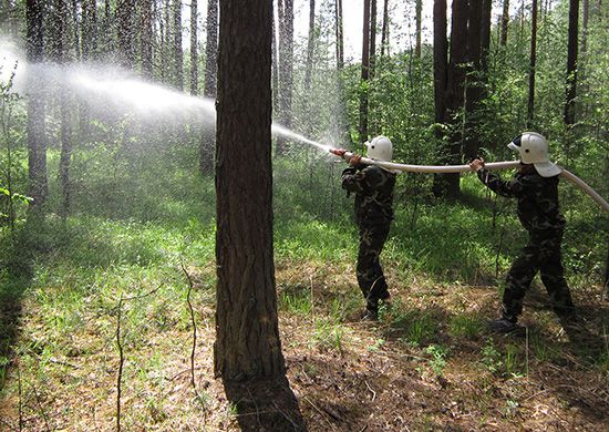 Минобороны ликвидировало крупный лесной пожар в Иркутской области