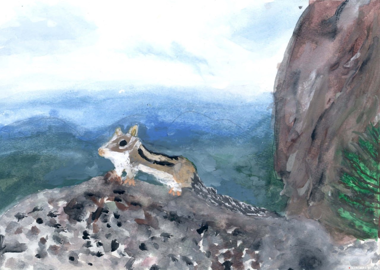 Бурундук. Красноярские столбы