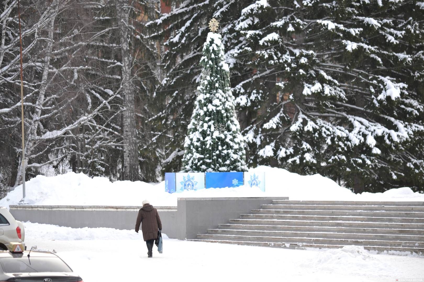 Новосибирский Академгородок зимой