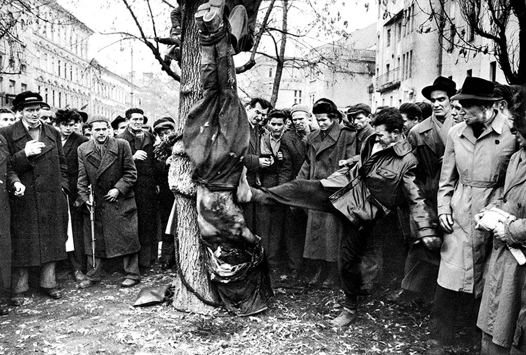 Венгерское восстание 1956 года. Повешенный повстанцами вниз головой изуродованный труп сотрудника госбезопасности СССР