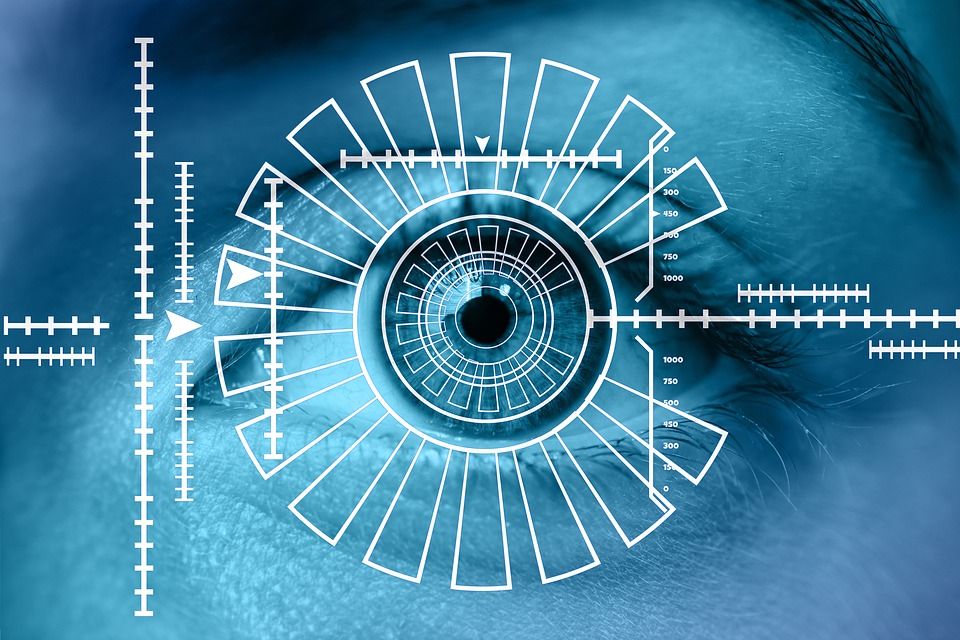 Глаз, биометрия