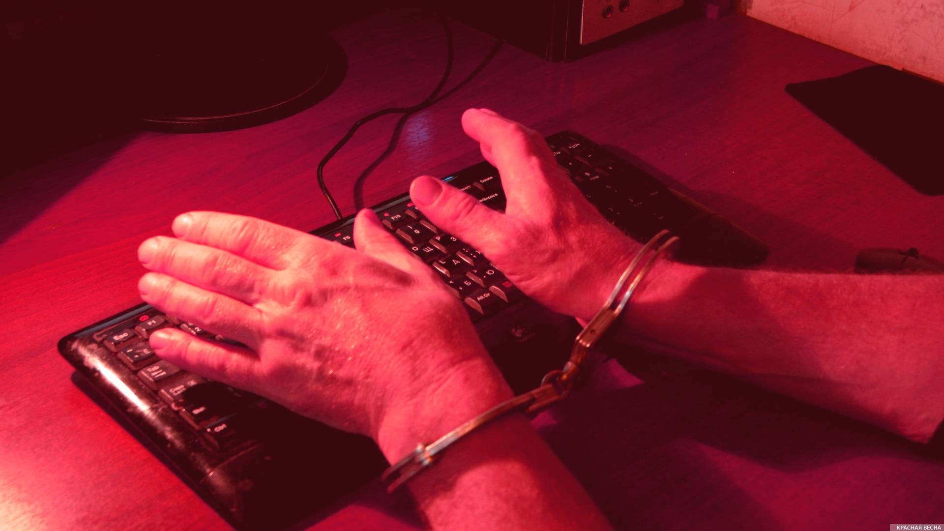 Наручники. Киберпреступность