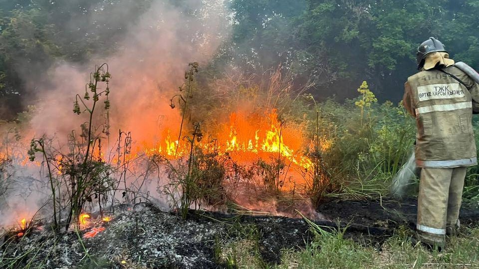 Тушение пожара в лесном заповеднике «Семей-орманы» Абайской области Казахстана
