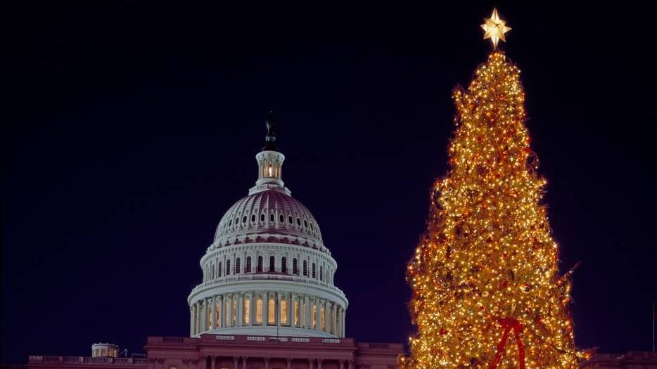 Рождественская елка в Вашингтоне