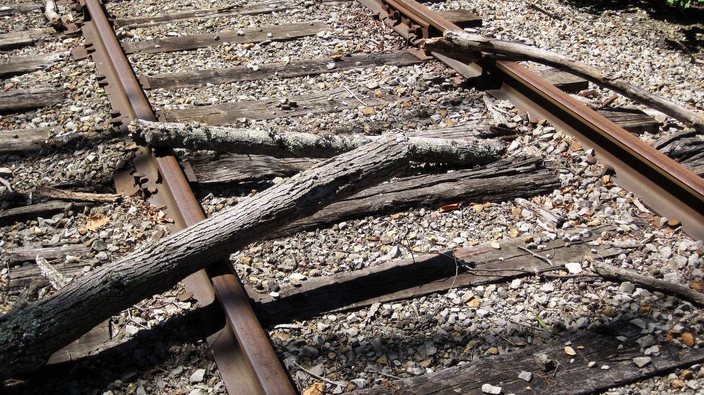 Бревно на рельсах