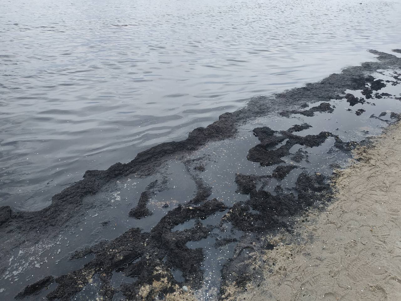 Загрязнение воды на пляже в Зеленоградске (Калининградская область)