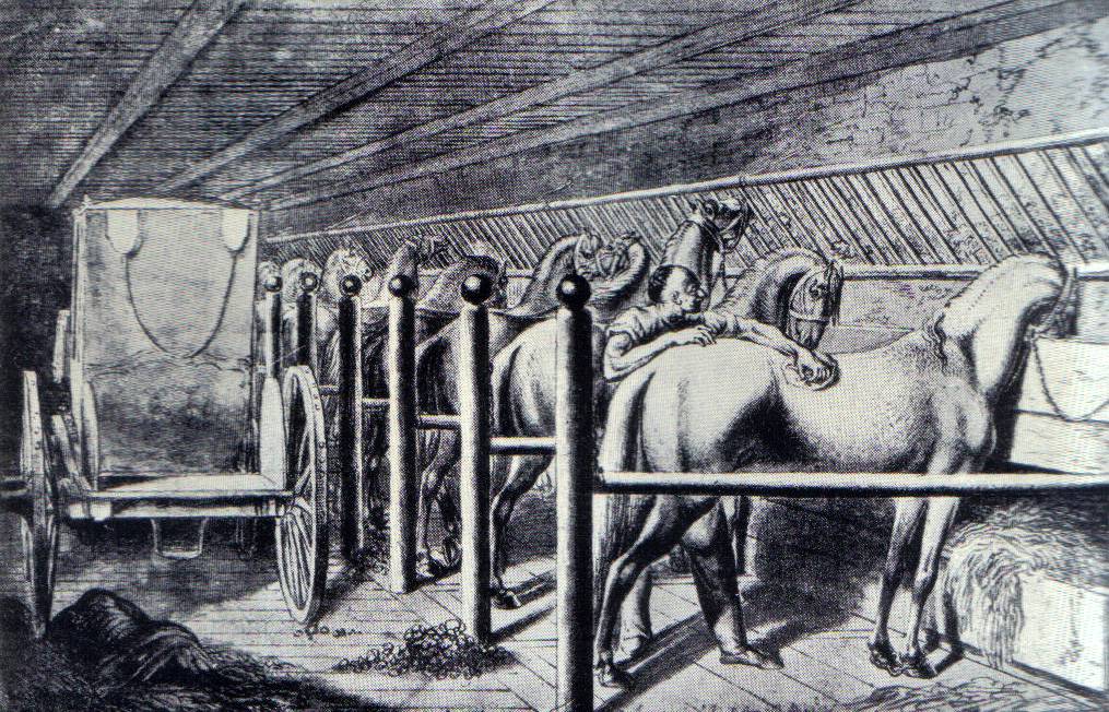 Даниель Ходовецкий, Лошади в стойлах. 1773