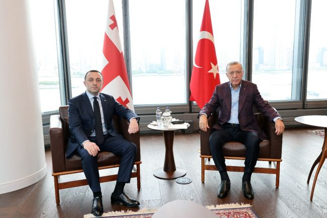 Премьер-министр Грузии Ираклий Гарибашвили (слева) и президент Турции Реджеп Тайип Эрдоган