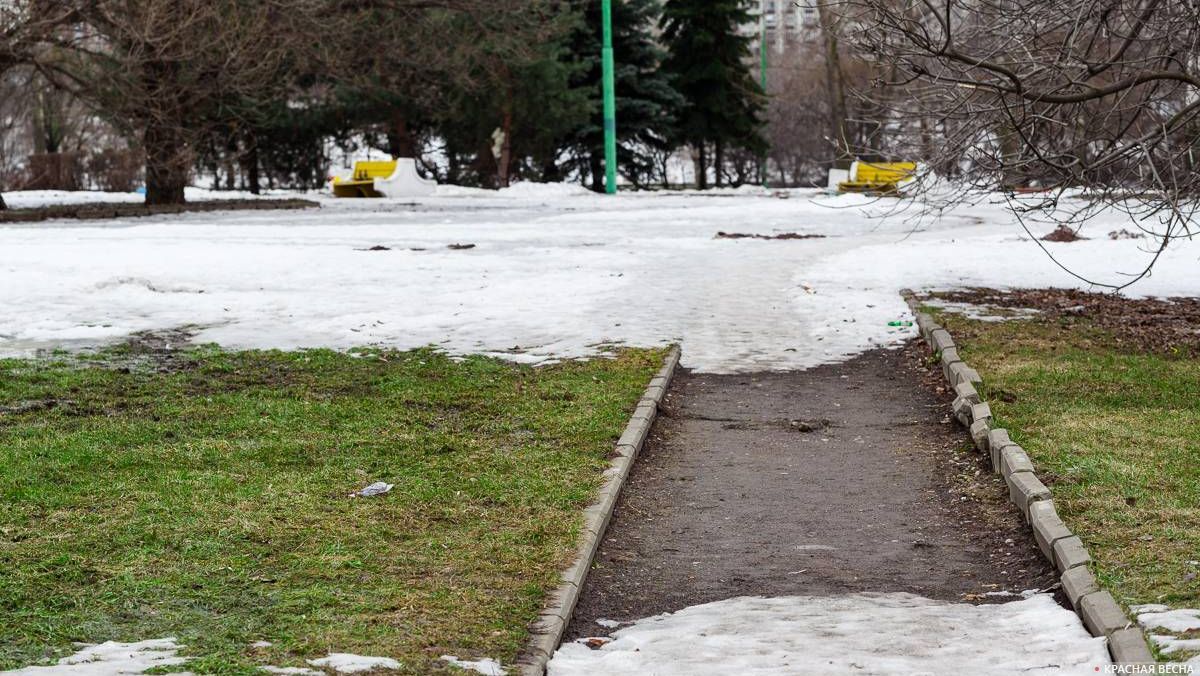 Москва. Снег и трава у дорожки в парке.