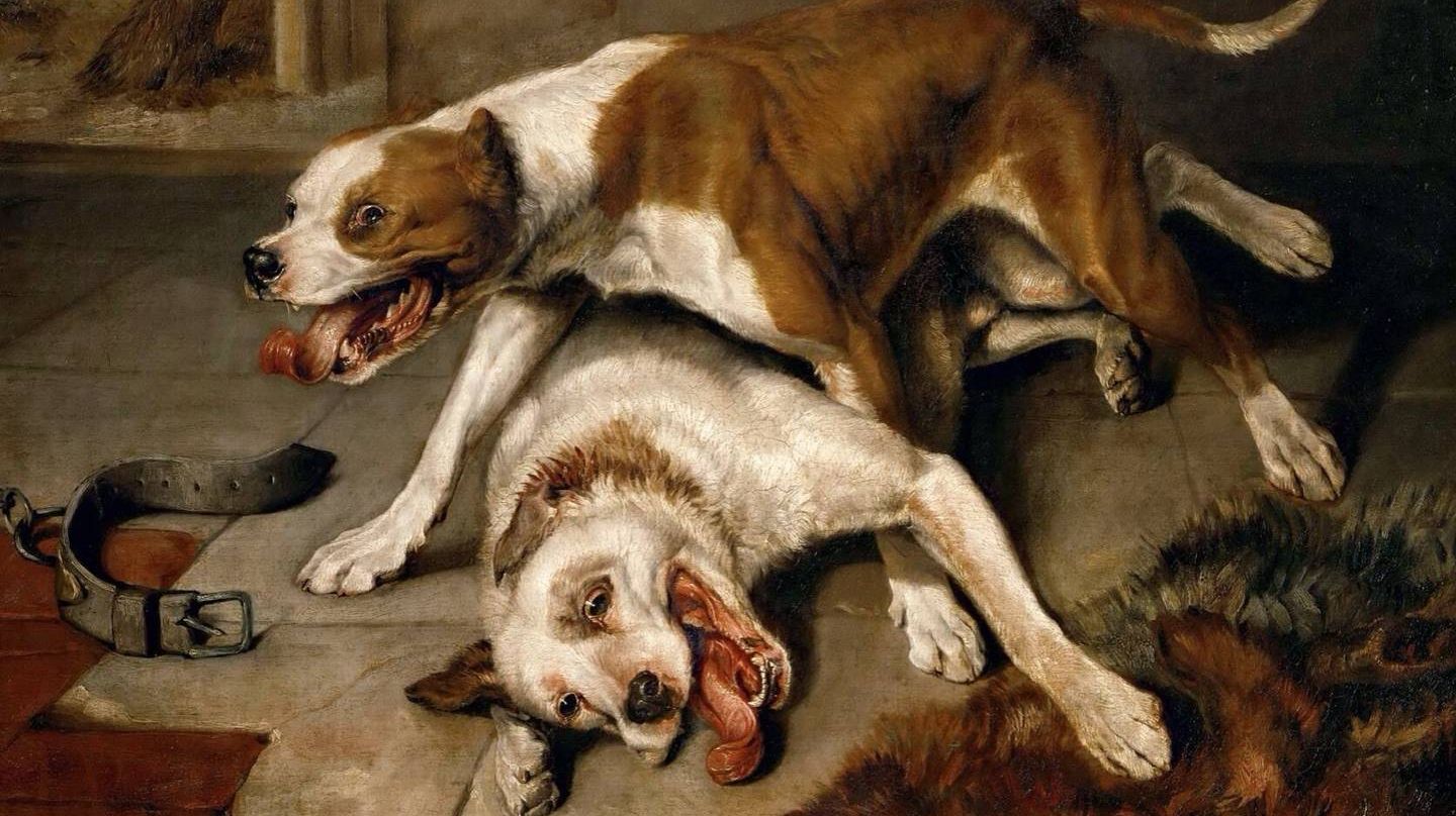 Эдвин Генри Ландсир. Бойцовские собаки. 1839