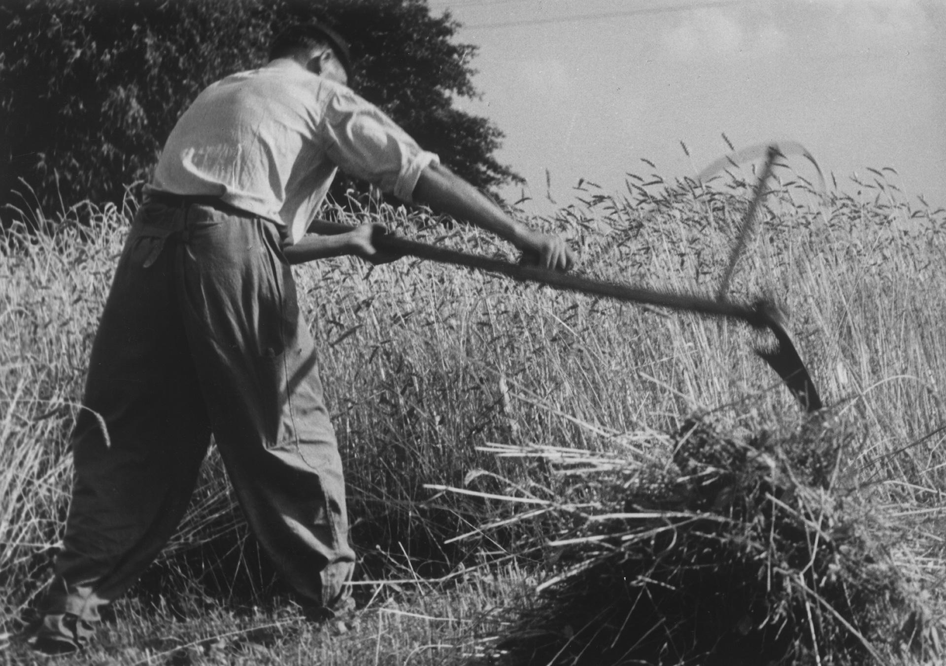 Польский фермер