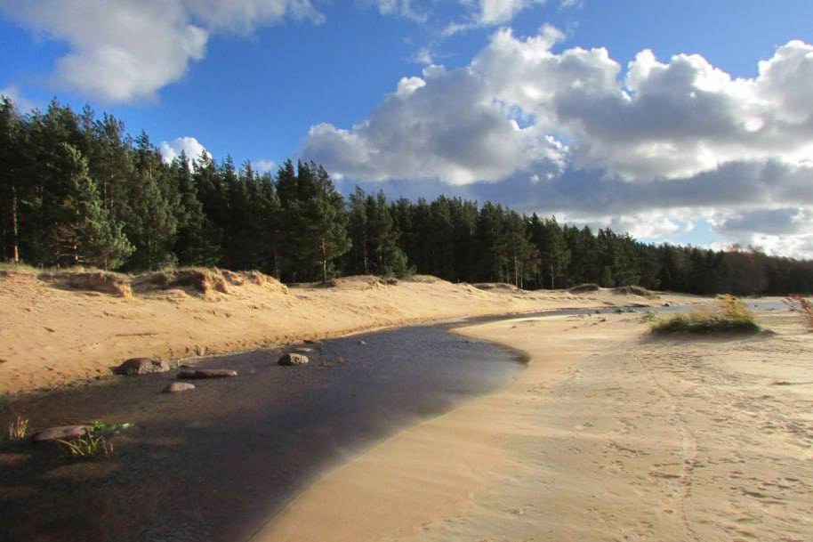 Бухта Желтая стала 49-й особо охраняемой природной территорией Ленинградской области