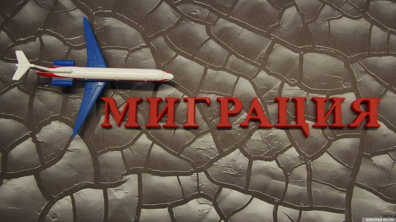 Миграция