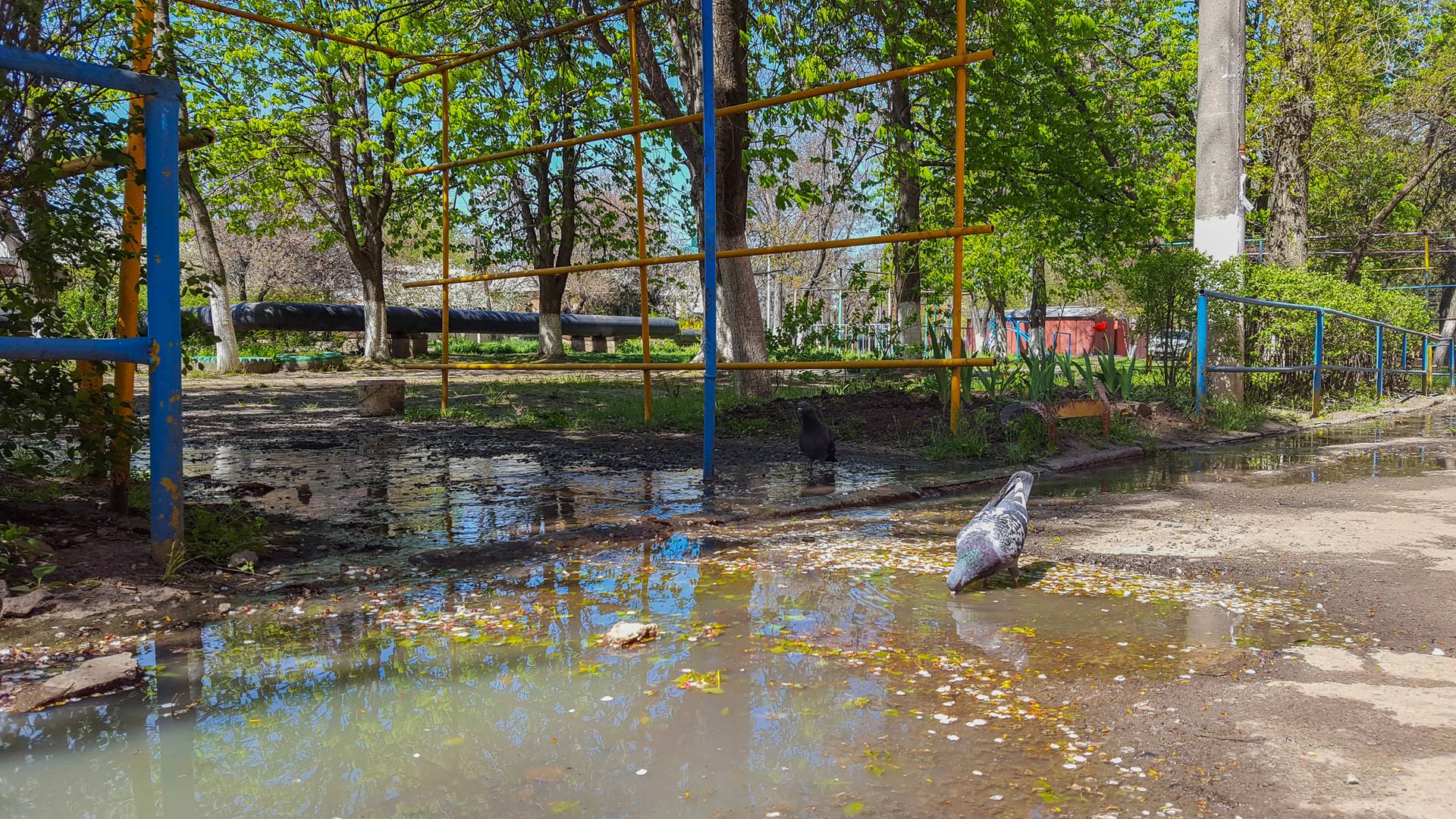 Поток канализационной воды у дома №18 на ул. Зои Космодемьянской, Таганрог