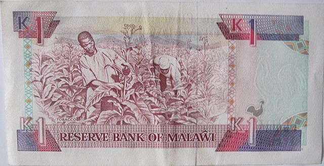 Малавийская квача