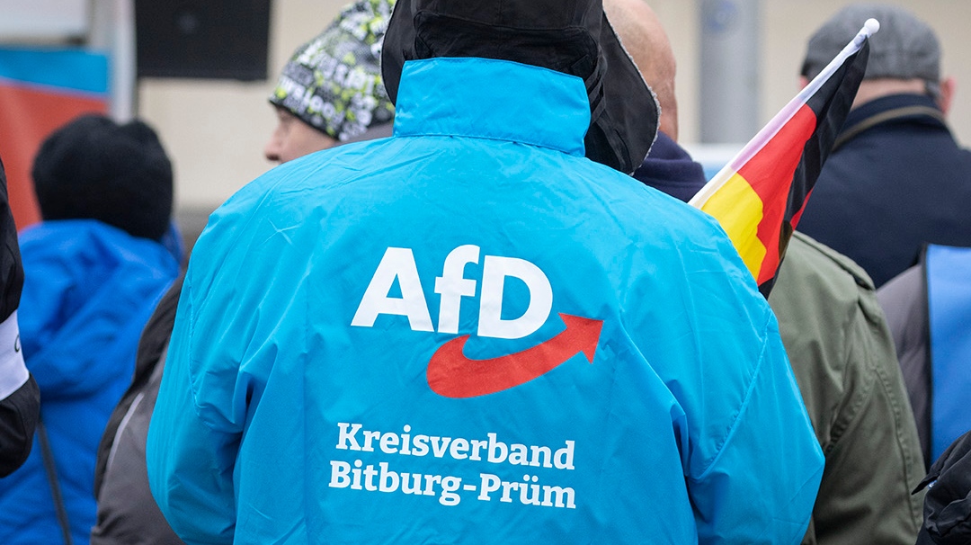 Символика ультраправой партии «Альтернатива для Германии» (АдГ)