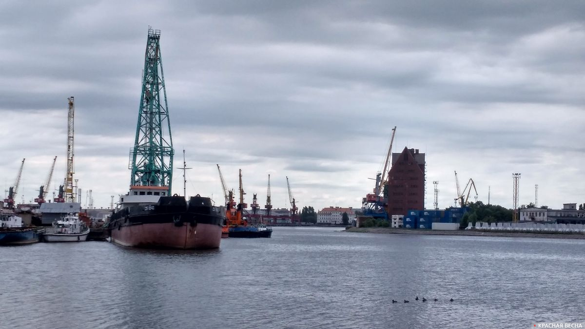 Калининград. Морской торговый порт