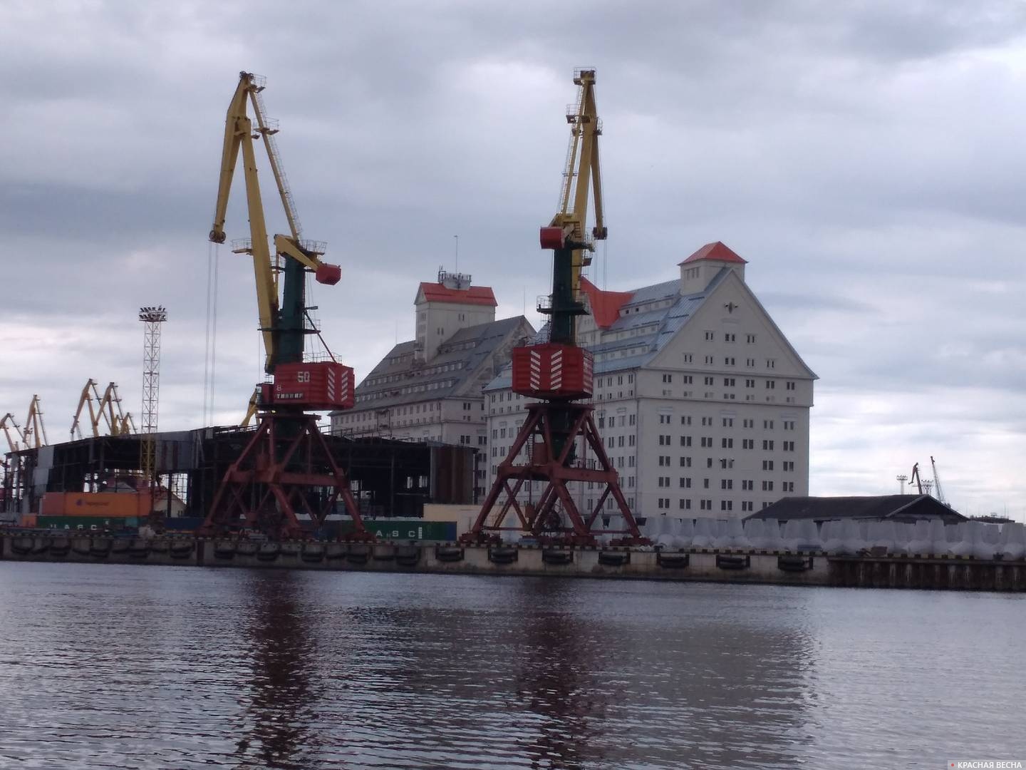 Калининград. Морской торговый порт