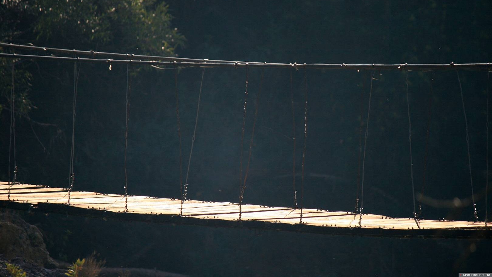 Подвесной мост