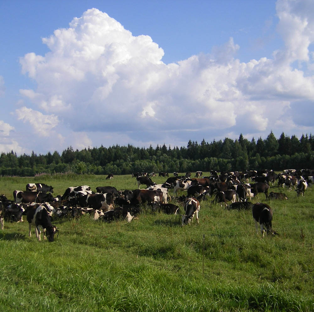 Небезоблачно в Белоруссии [(cc)Szeder László]