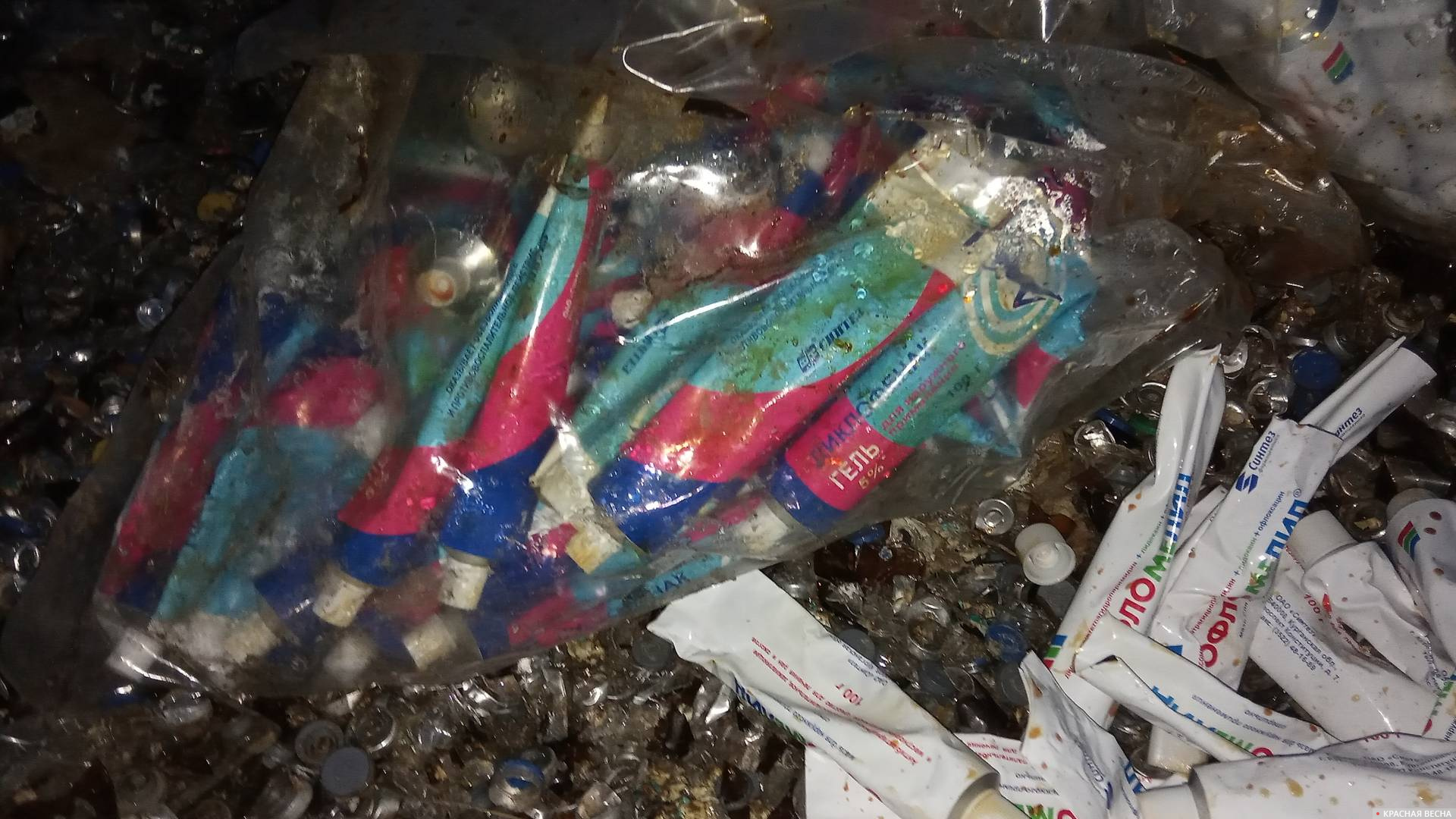 Медотходы и стекло на площадке по адресу ул. Омская 138Л, город Курган, 4 мая 2020 года