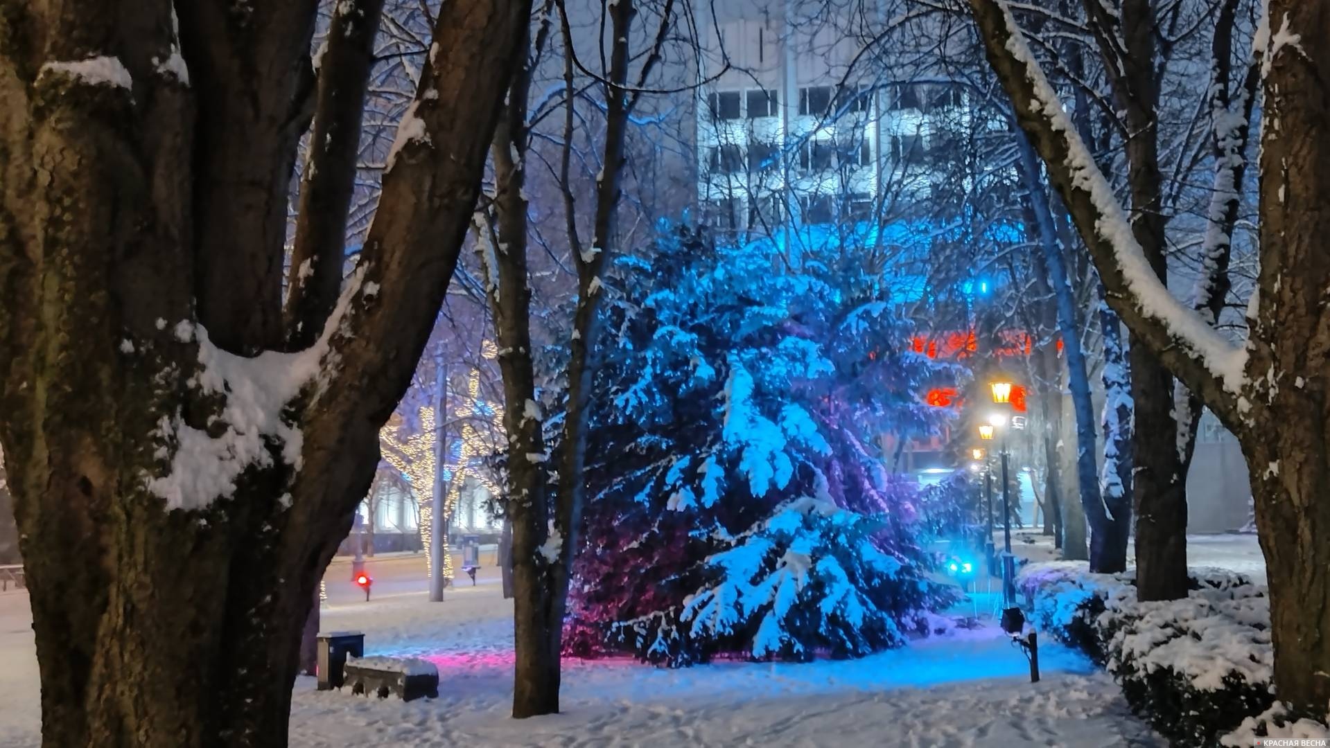 Правительство Севастополя. Зима. Снег. Ночь