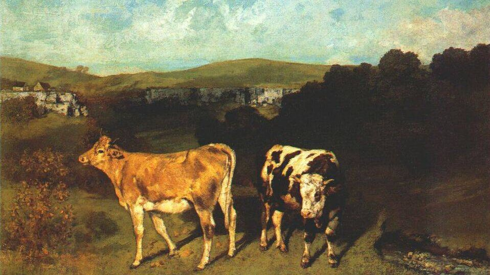 Гюстав Курбе. Белый бык и светлая корова. 1851 год