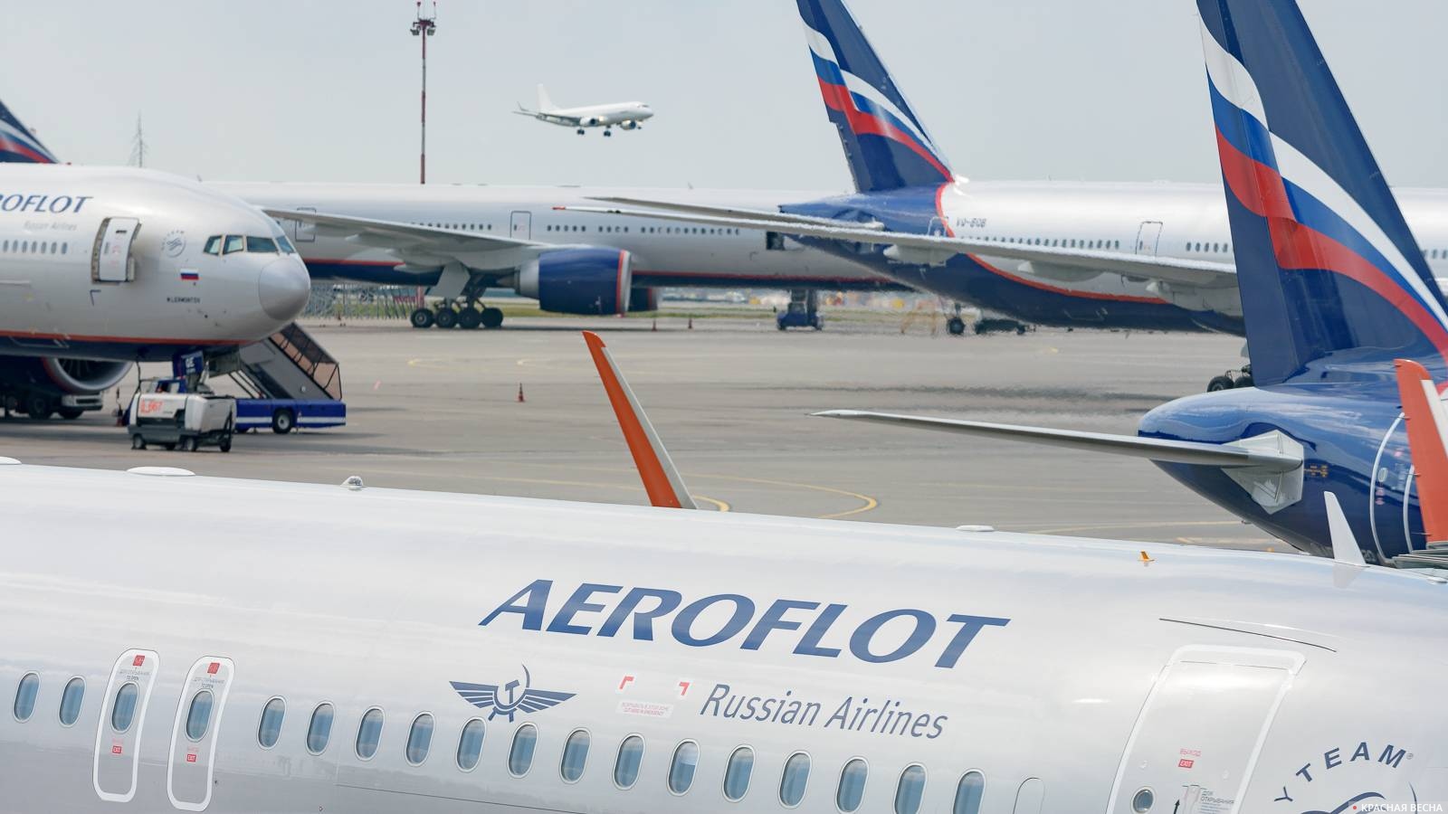 Самолеты авиакомпании Аэрофлот в аэропорту Шереметьево