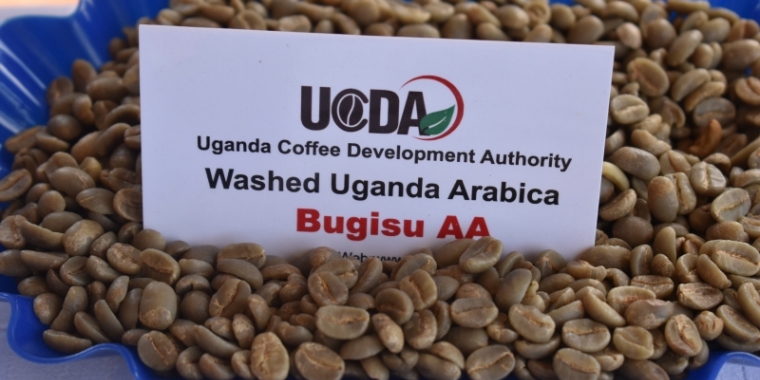 Кофе Уганды