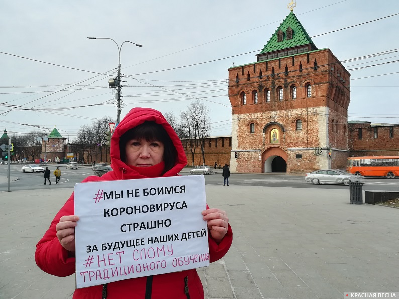 Пикет против дистанционного обучения в Нижнем Новгороде