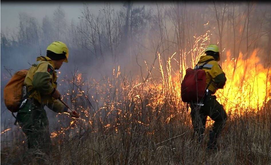 Огнеборцы пожарной службы ФБУ «Авиалесоохрана» тушат лесной пожар