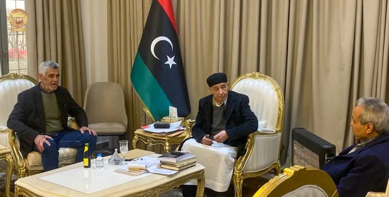 Встреча главы парламента Ливии Агилы Салеха с главой аудиторского бюро Ливии