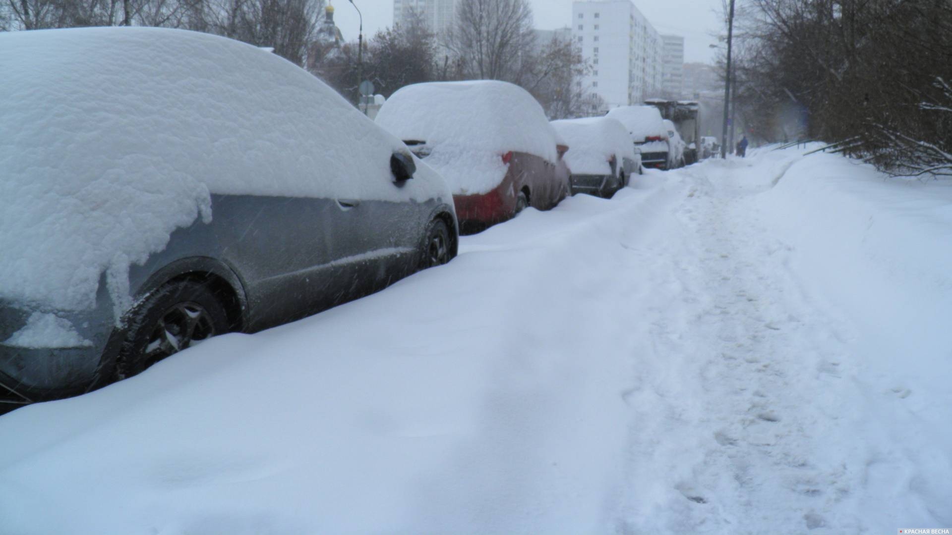 Снегопад, автомобили в снегу
