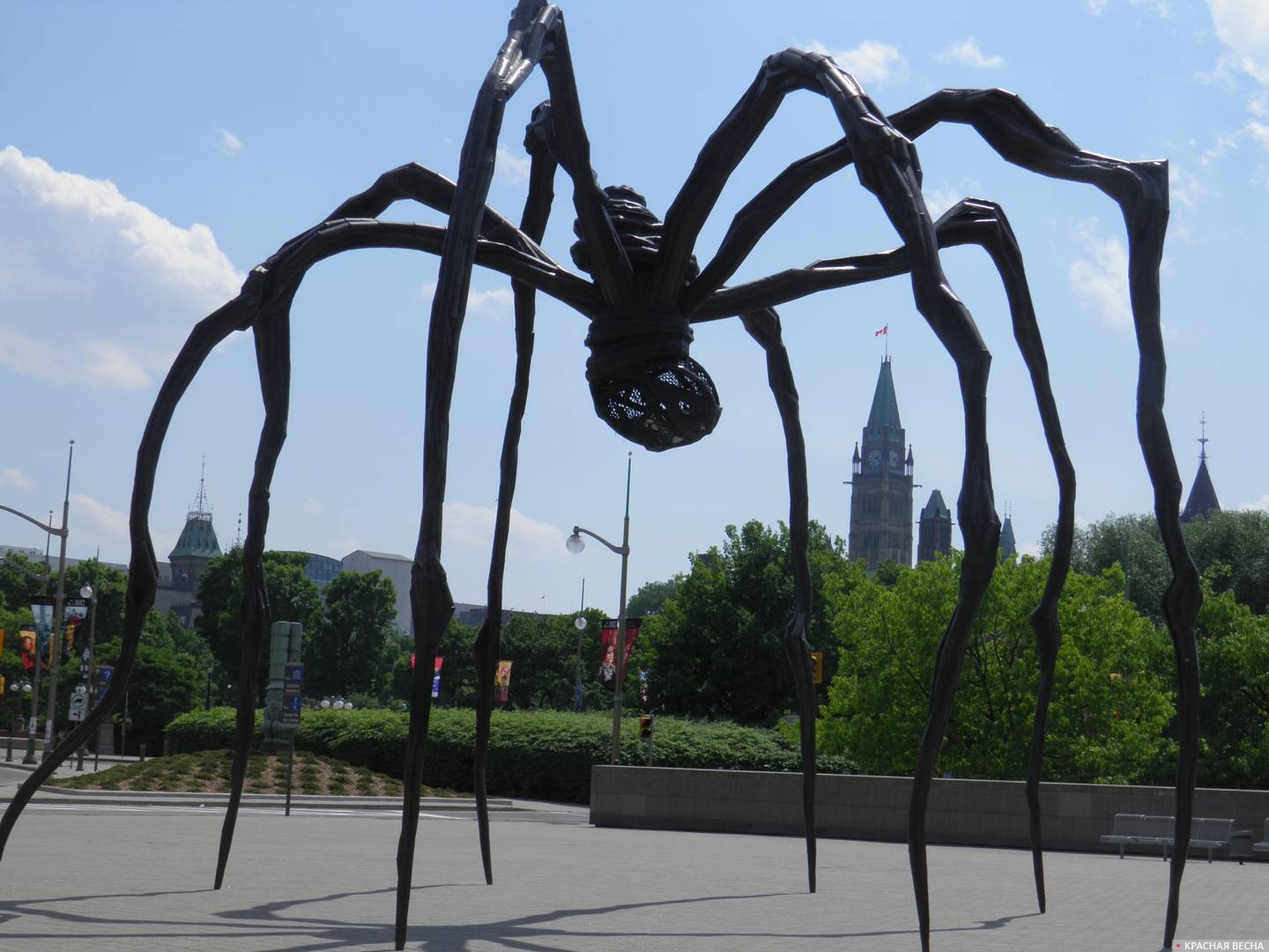 Гигантская скульптура паука
