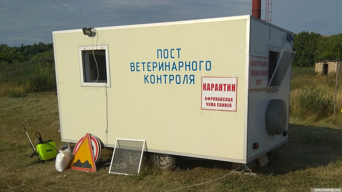 Карантин. Пост ветеринарного контроля