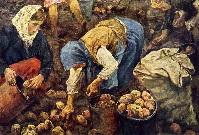 Аркадий Пластов. Сбор картофеля. 1956
