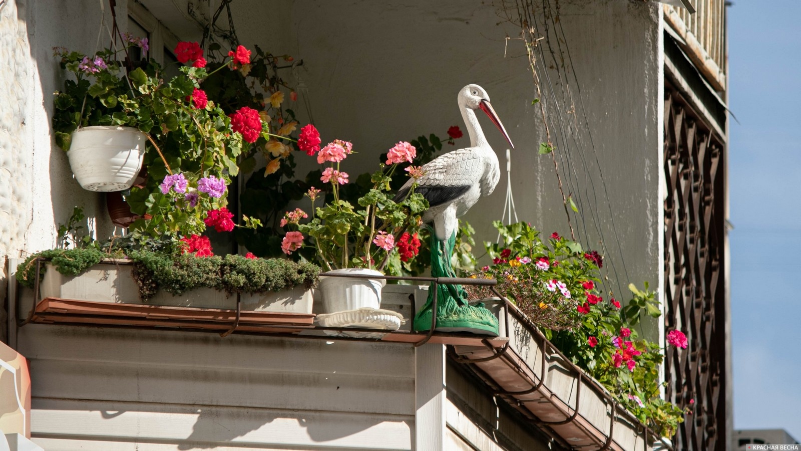 Цветочный балкон
