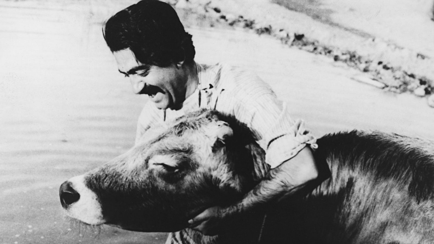 Цитата из х/ф «Корова», реж. Дариуш Мехрджуи. Иран. 1969 год